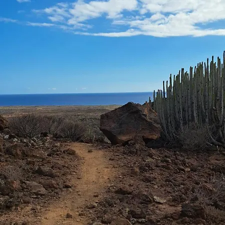公寓 Casa Sigfrido 滨海帕尔姆