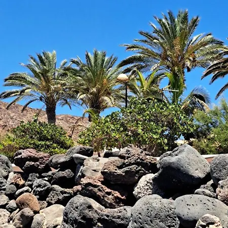 Casa Sigfrido * Palm-mar