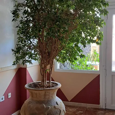 公寓 Casa Sigfrido