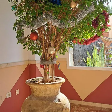 Lejlighed Casa Sigfrido