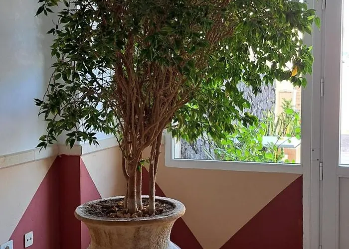 Apartmán Casa Sigfrido