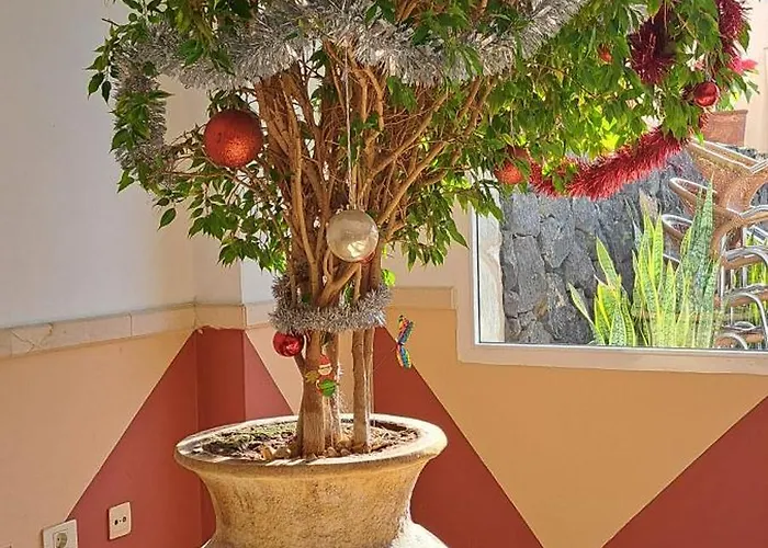 Apartmán Casa Sigfrido